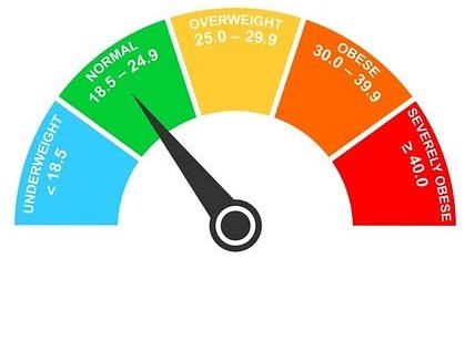 BMI-Calculator-Tools-Trending